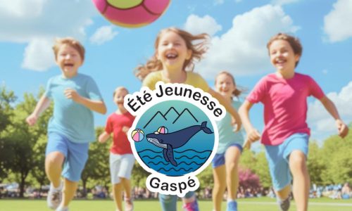 Camp jour Été jeunesse Gaspé