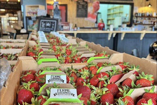 Ferme Bourdages St-Siméon fraises sur étalage