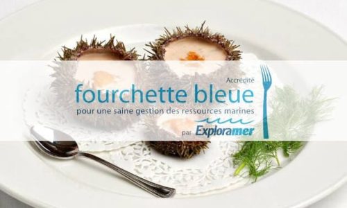 Fourchette Bleue