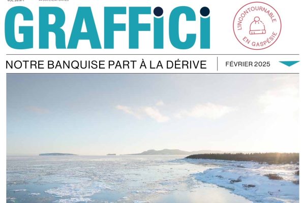 Graffici février 2025 la une