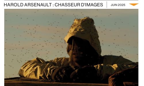 Graffici juin 2025 la une