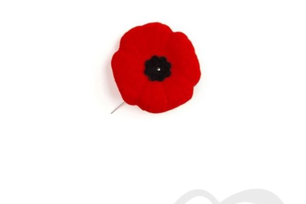 Jour du souvenir coquelicot