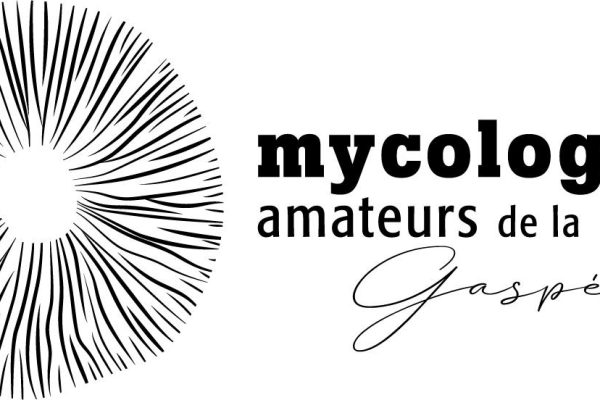 Mycologues amateurs Gaspésie logo