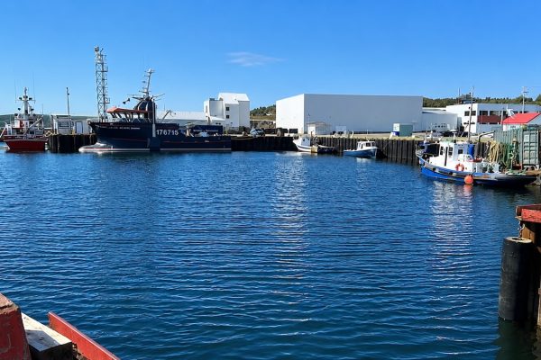 Quai de Newport
